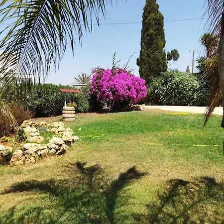 Grandma's House *