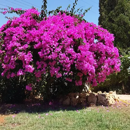 בית נופש Grandma's House *