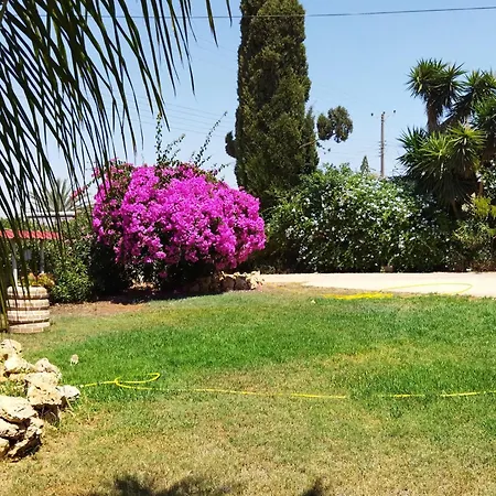 בית נופש Grandma's House Liopetri