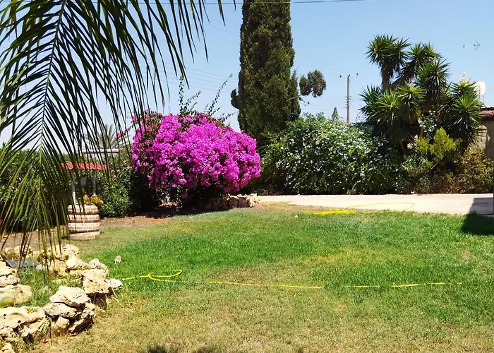 Dom wakacyjny Grandma's House Liopetri