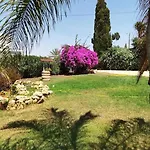Grandma's House *