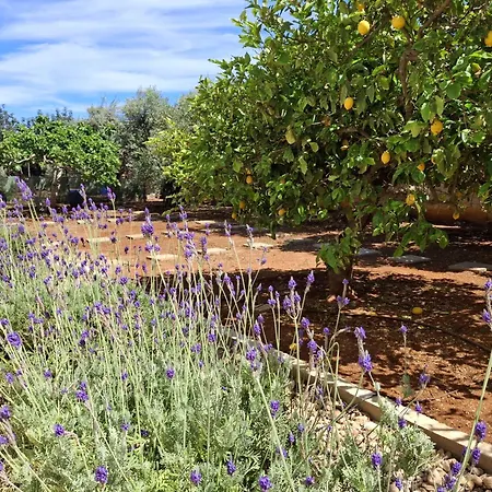 度假居 Grandma's House