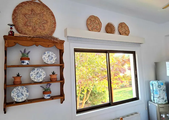 Grandma's House 別荘 Liopetri