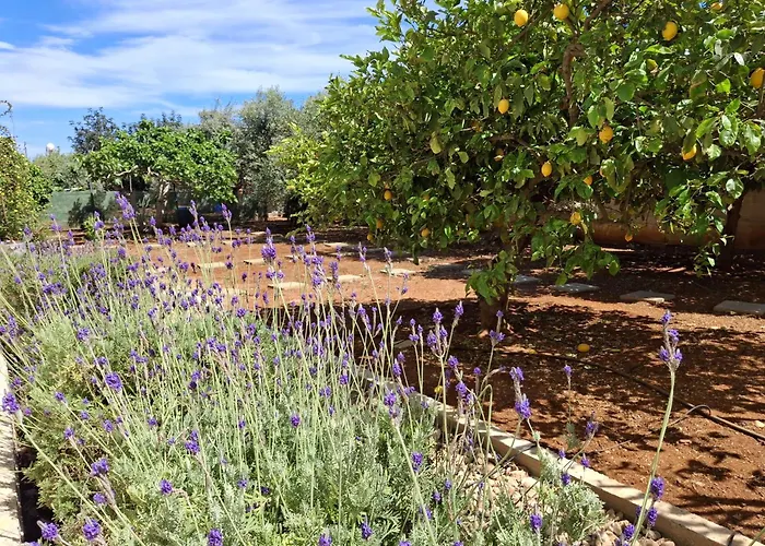 別荘 Grandma's House